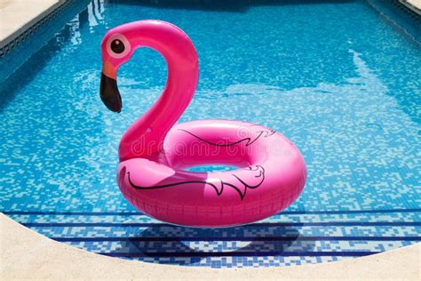 Inflatable Pink Flamingo In A Swimming Pool Stock Image - Image of ...