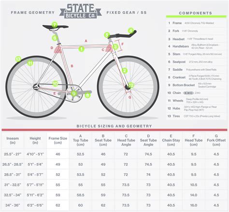 Road Bike Size 54 Or 56 at Bill Henley blog