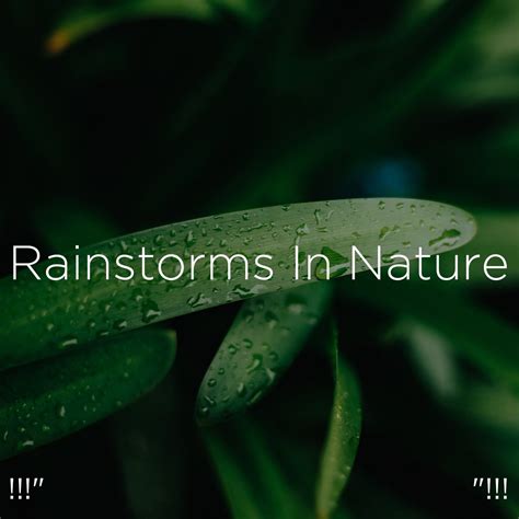 Rainstorms in Nature "!!! by Meditation Rain Sounds, Relaxing Rain ...