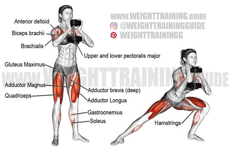 Dumbbell side lunge exercise instructions and video