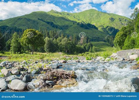 Mountain River Valley Landscape. Mountain Valley River Panorama. Mountain River Flow. Stock ...