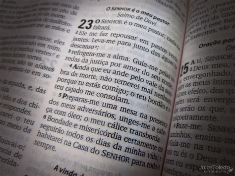 Salmo 23 | O Senhor é meu Pastor, nada me faltará. | JoiceToledo | Flickr