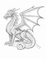 D&ampd Dragon Coloring Page Download Printable PDF  Templateroller sketch template