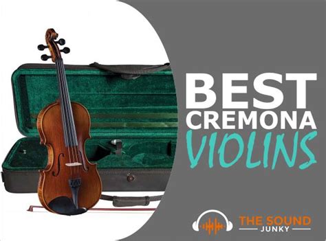 Different Types Of Violins - What Are They & Which Is Best For You?