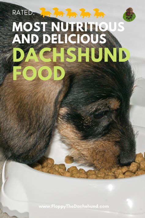 10 Best Food for Dachshund images in 2020 | Dachshund, Dog food recipes, Treats