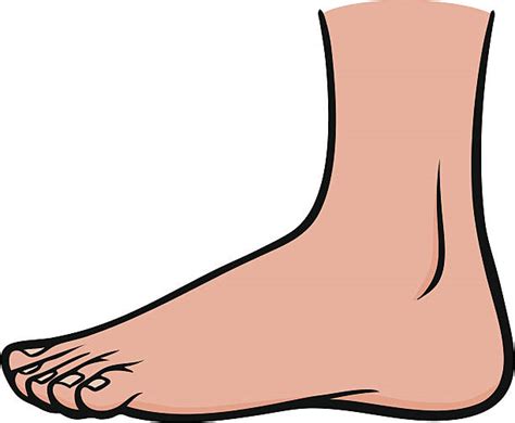 clipart of a foot 10 free Cliparts | Download images on Clipground 2024