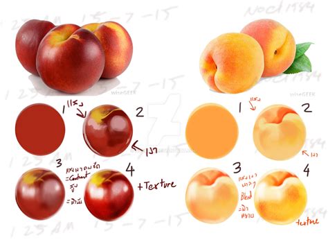 Nectarine vs Peach | Peach, Nectarine, Deviantart