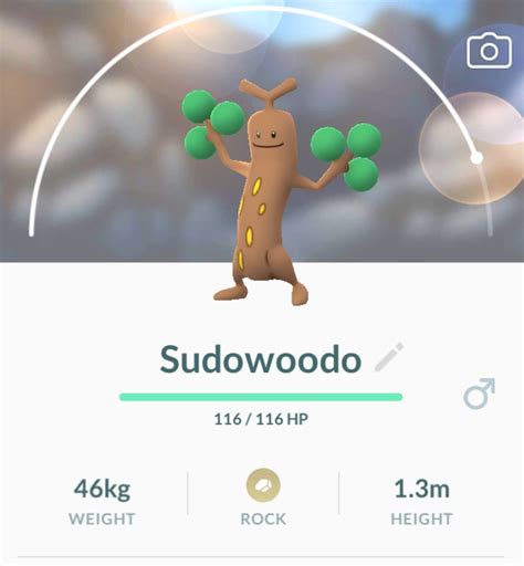 143 best Sudowoodo images on Pholder | Shiny Pokemon, Pokemongo and The ...