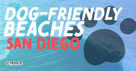 Dog-Friendly Beaches San Diego | Sit Means Sit Dog Training San Diego