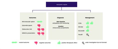 Summary of vasospastic angina and its management | Download Scientific ...