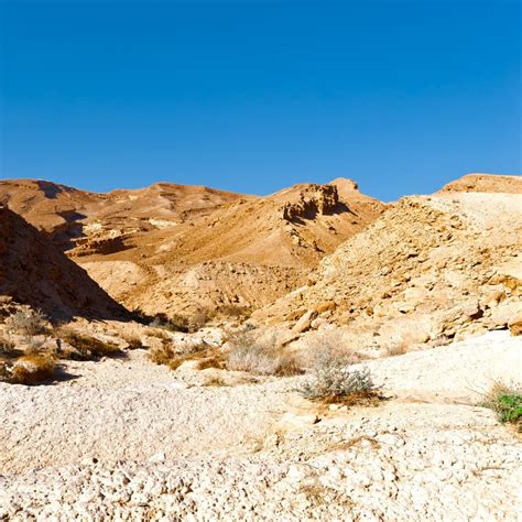 Negev Desert stock photo. Image of hill, landscape, east - 87646778