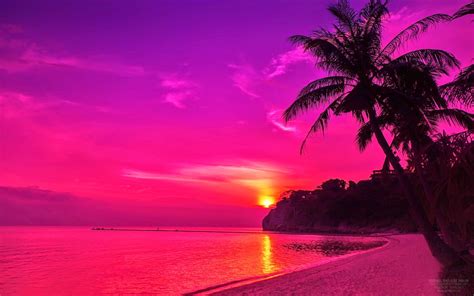 Pink Beach Sunset Wallpaper - WallpaperSafari