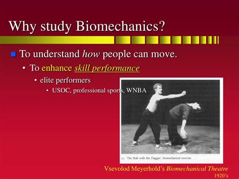 PPT - Biomechanics of Human Movement PowerPoint Presentation, free ...