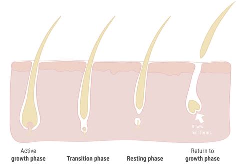 Plantur 21 | Premature hair loss