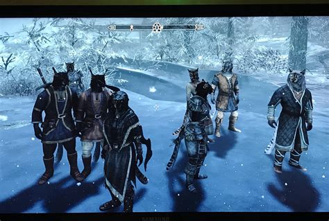 Cats of Skyrim #games #Skyrim #elderscrolls #BE3 #gaming #videogames # ...