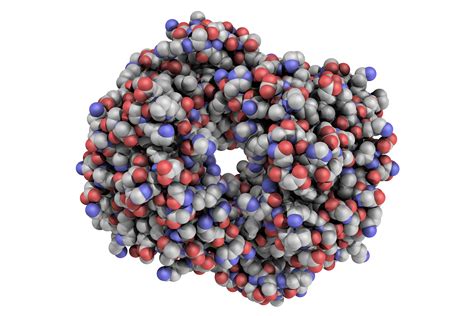 Identification of Human Hemoglobin Protein Variants Using Electrospray Ionization-Electron ...