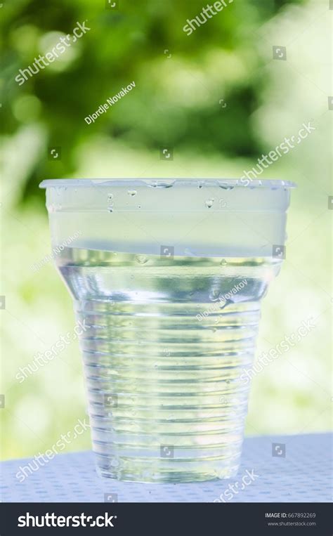 Plastic Cup Water Isolated Stock Photo 667892269 | Shutterstock