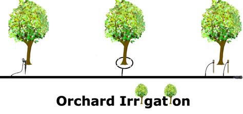 Orchard Irrigation Guide : Drip Depot DIY Irrigation Support