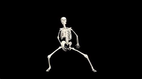 Dancing Skeleton Skeleton Dance Animation Skeleton Dance Transparent Background — Stock Video ...