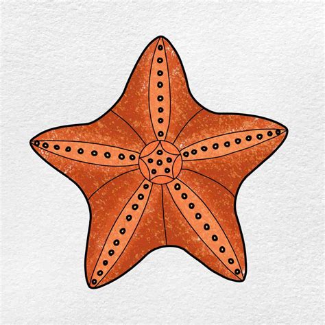 How to Draw a Starfish - HelloArtsy