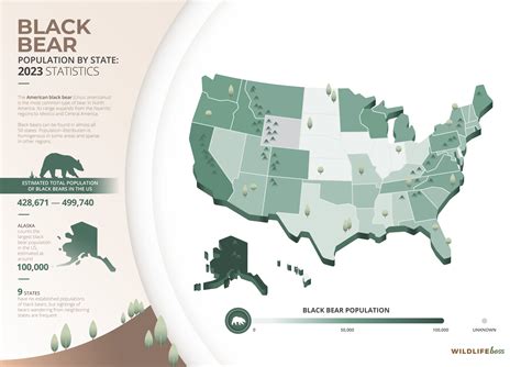 Black Bear Population By State: 2024 Statistics [Data]