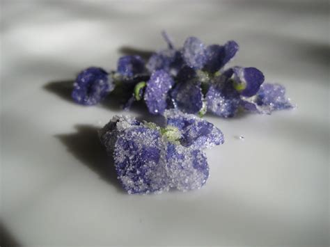 K-Town Homestead: Candied violets