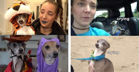 17 Times Jenna Marbles' Adorable Dog Kermit Brought Us Moments Of Pure Joy