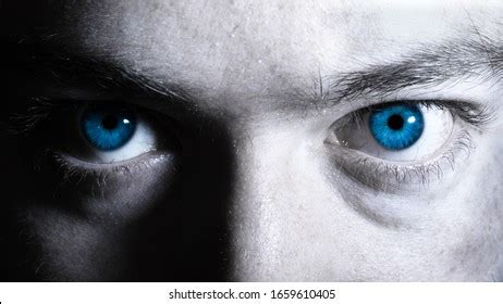 Royal Blue Eyes Close Portrait Stock Photo 1659610405 | Shutterstock