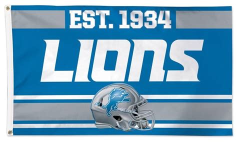 Detroit Lions Flag 3x5 Est 1934 | Detroit lions, Nfl detroit lions, Lions