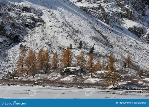 Altai mountains stock photo. Image of cold, lake, glaciers - 142929240