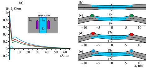 The effect of amphipathic peptides on the interaction of Lo domain ...