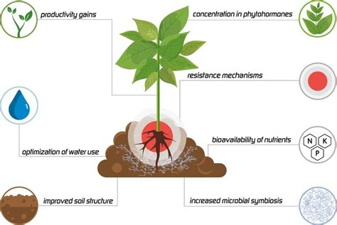 Plant nutrition: mineral fertilizer vs available nutrients in the soil | Penergetic Int. AG