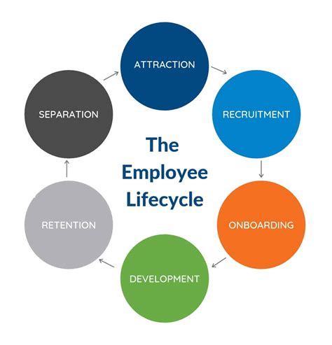 Life Cycle Of Employee