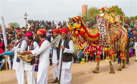 Bikaner Camel Festival Rajasthan, Things to do in Camel Fair - India-Tours