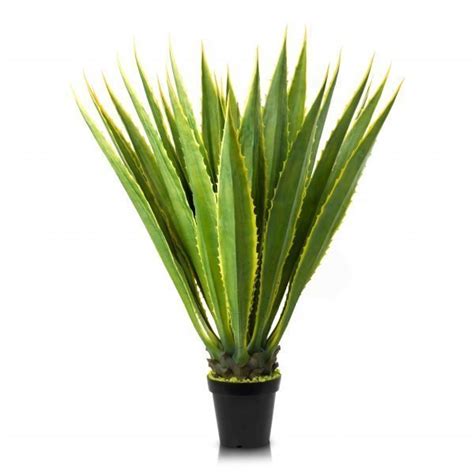 Artificial Agave - Feelreal - Premier Supplier of Lifelike Artificial ...