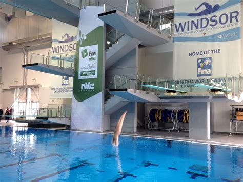 Windsor gets new diving club | CTV News