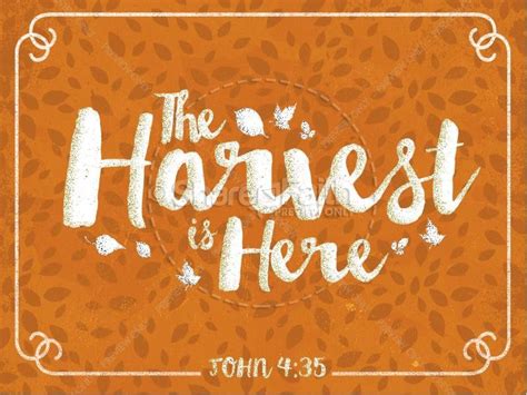 The Harvest is Here Christian PowerPoint | Sharefaith Media ...