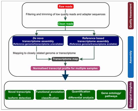 IJMS | Free Full-Text | Transcriptome Analysis Based on RNA-Seq in Understanding Pathogenic ...