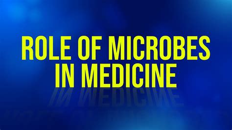 Role of Microbes(Bacteria) in Medicine - YouTube