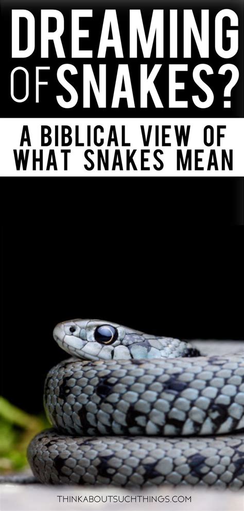 The Biblical Meaning of Snakes in Dreams | Bible study devotions, Bible knowledge, Christian ...