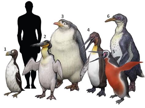 Penguins only live about 20 years... — Steemit | Extinct animals, Prehistoric, Prehistoric animals