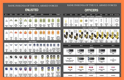 U.S. Military Rank Insignia (Enlisted & Officer) : r/coolguides