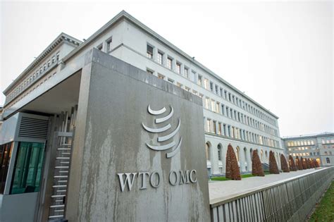 China Drops Landmark WTO Dispute Against EU