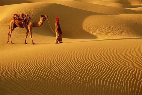 Cholistan Desert – Complete Tourist Guide – Startup Pakistan