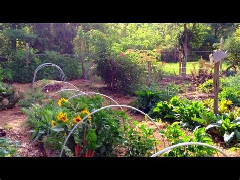 .1 acre garden - huge production! - YouTube