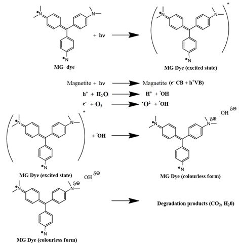 2: Proposed photodegradation mechanism of methyl green on magnetite NPs | Download Scientific ...