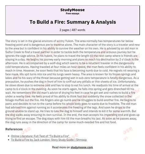 To Build a Fire: Summary & Analysis Free Essay Example