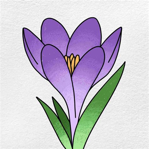 How to Draw a Crocus - HelloArtsy