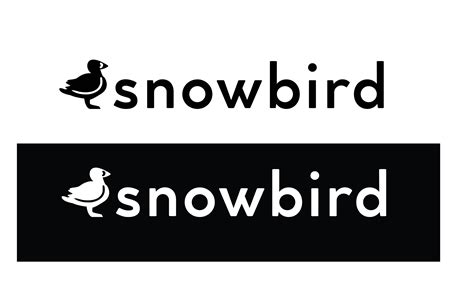 Snowbird Airline Brand Identity on Behance