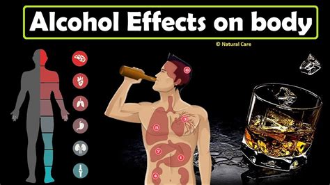 Alcohol effects on body - YouTube